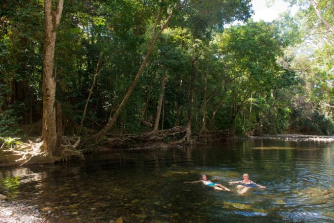 From Cairns: Daintree Rainforest & Cape Tribulation 4WD Tour - Visit to Cape Tribulation Beach