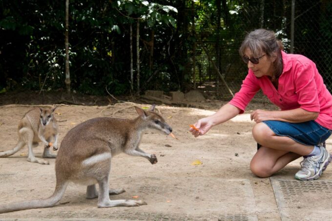 From Cairns: Daintree Rainforest & Cape Tribulation 4WD Tour - Daintree Ice Cream Company