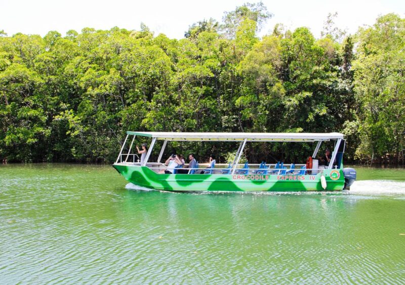 From Cairns: Daintree Wilderness & Cape Tribulation Bus Tour - Highlights