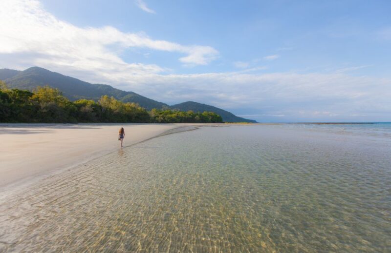 From Cairns: Daintree Wilderness & Cape Tribulation Bus Tour - Important Information