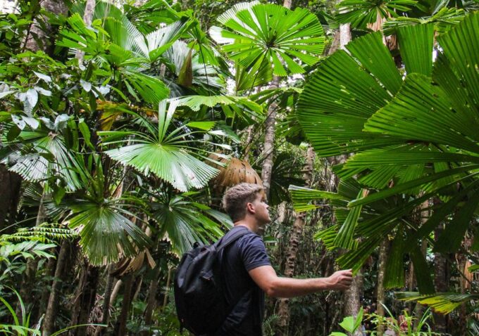 From Cairns: Daintree Wilderness & Cape Tribulation Bus Tour - Crossing the Daintree River
