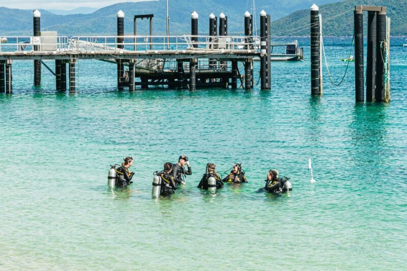 From Cairns: Fitzroy Island Full-Day Adventure Tour - Customer Ratings and Feedback
