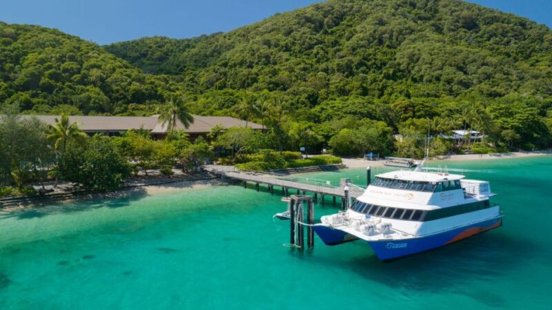 From Cairns: Fitzroy Island Round Trip Boat Transfers - Experience Highlights