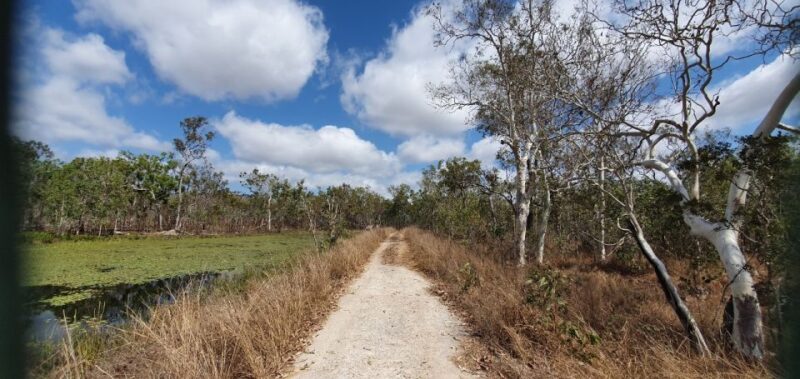 From Cairns: Full-Day Birdwatching Excursion - Key Points