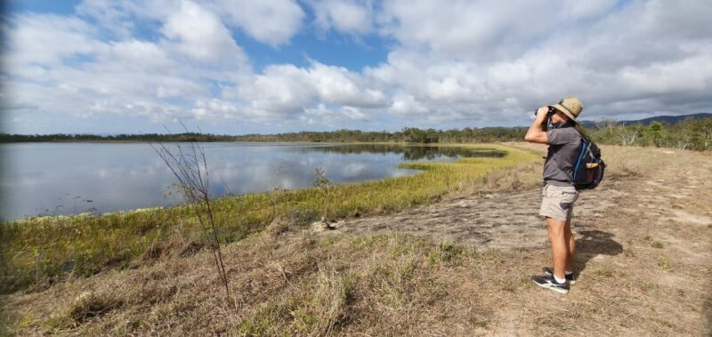 From Cairns: Full-Day Birdwatching Excursion - Transportation and Amenities