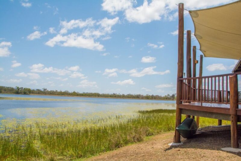 From Cairns: Full-Day Birdwatching Excursion - Private Wetland Reserve