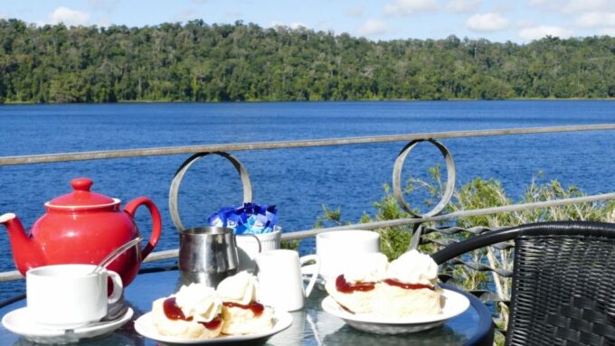 From Cairns: Full-Day Birdwatching Excursion - UNESCO World Heritage Site