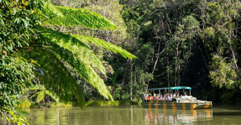 From Cairns: Full-Day Kuranda Army Duck Experience Tour - Kuranda Scenic Railway and Skyrail