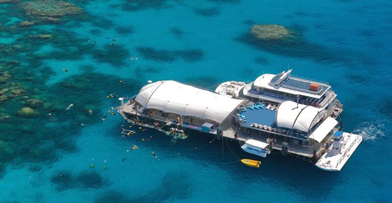 From Cairns: Great Barrier Reef Cruise and Activity Platform - Snorkeling Amongst Vibrant Coral and Fish