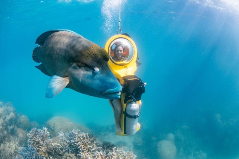 From Cairns: Great Barrier Reef Cruise and Activity Platform - Underwater Observatory and Reef Discovery