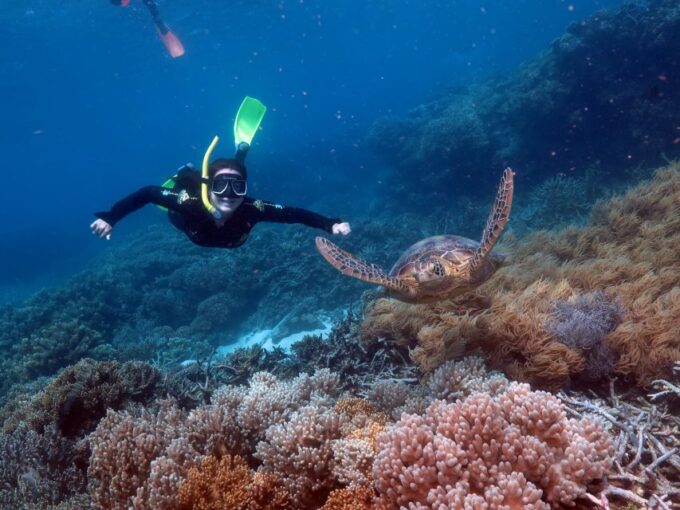 From Cairns: Great Barrier Reef Cruise and Activity Platform - Meeting Point and What to Bring