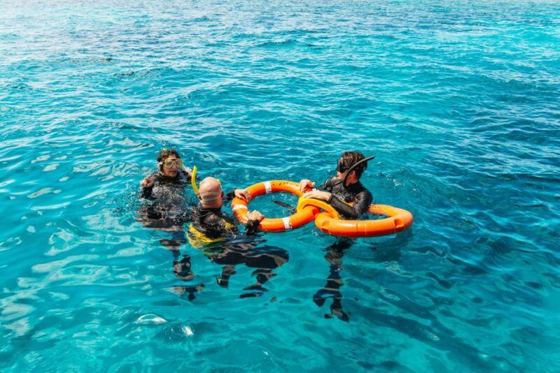 From Cairns: Great Barrier Reef Cruise by Premium Catamaran - Key Points