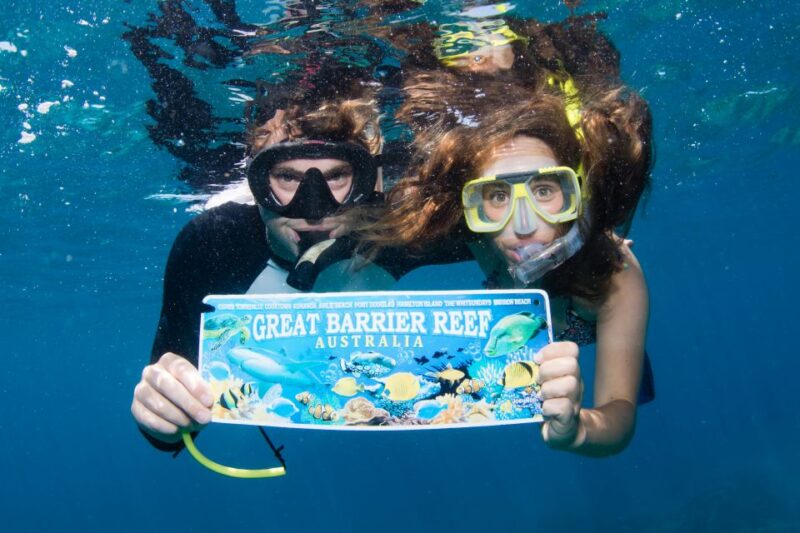 From Cairns: Great Barrier Reef Cruise by Premium Catamaran - Snorkeling and Swimming