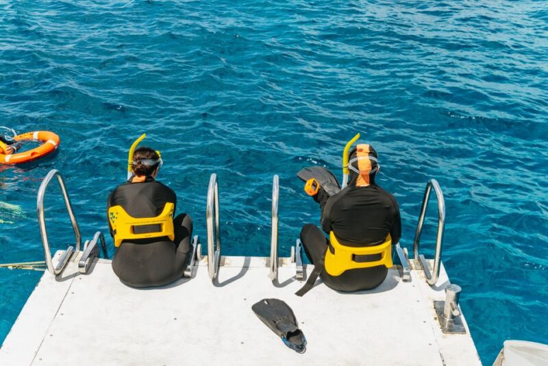 From Cairns: Great Barrier Reef Cruise by Premium Catamaran - Marine Life Encounters