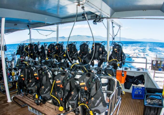 From Cairns: Great Barrier Reef Cruise by Premium Catamaran - Cruise Duration and Schedule