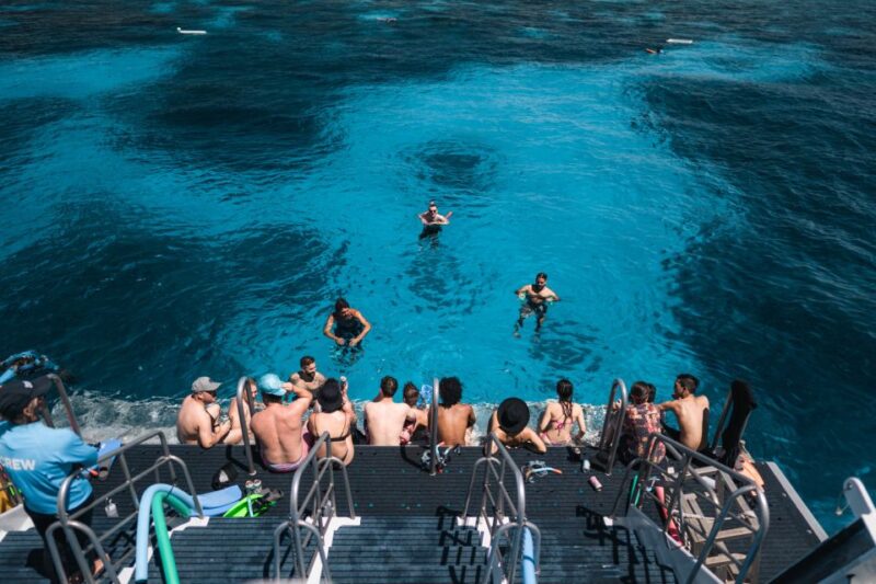 From Cairns: Great Barrier Reef Snorkeling Trip With Lunch - Highlights