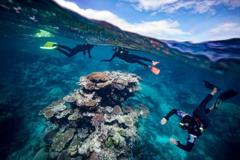 From Cairns: Great Barrier Reef Snorkeling Trip With Lunch - Meeting Point