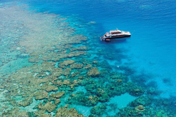 From Cairns: Great Barrier Reef Snorkeling Trip With Lunch - Frequently Asked Questions
