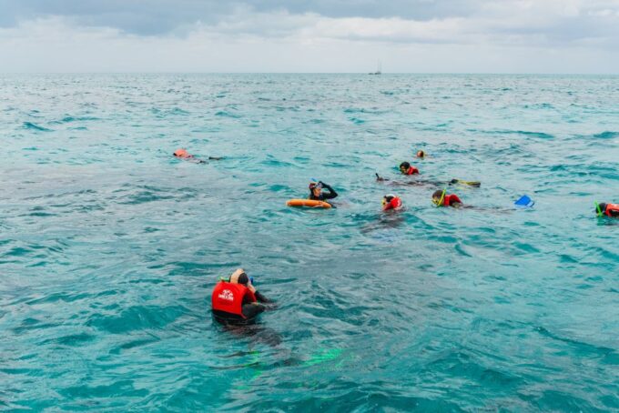 From Cairns: Green Island Full-Day Cruise - Booking and Reservations