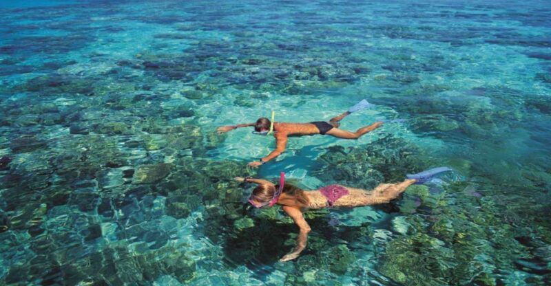 From Cairns: Green Island Half-Day Morning Cruise - Key Points