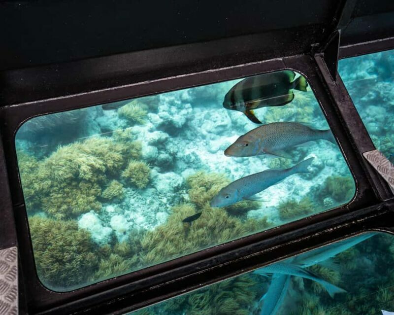 From Cairns: Half-Day Afternoon Cruise to Green Island - FAQ