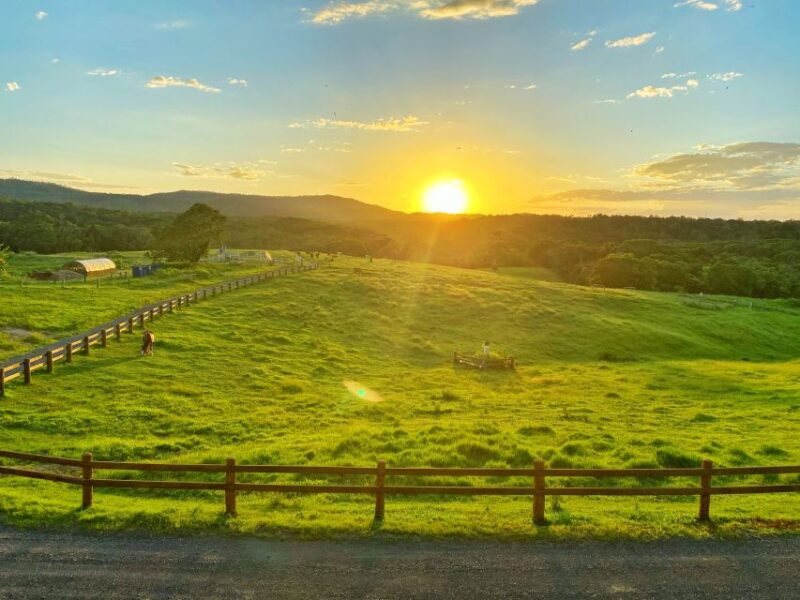 From Cairns: Kuranda Day Trip With Petting Zoo and Quad Ride - KUR-Cow Barnwell Farm Tour
