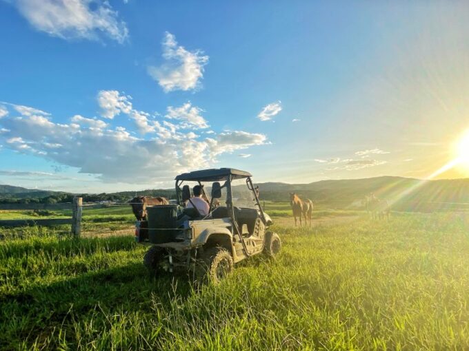 From Cairns: Kuranda Day Trip With Petting Zoo and Quad Ride - Inclusions and Exclusions