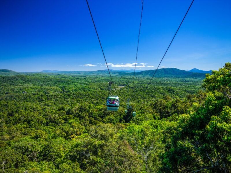 From Cairns: Kuranda Day Trip With Return Kuranda Cableway - Highlights of the Skyrail Rainforest Cableway