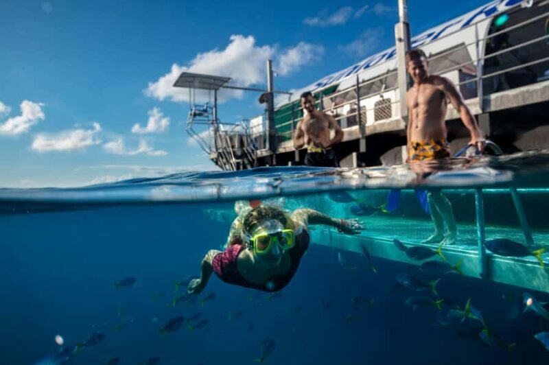 From Cairns: Moore Reef, Fitzroy Island Tour with Helicopter - Final Thoughts