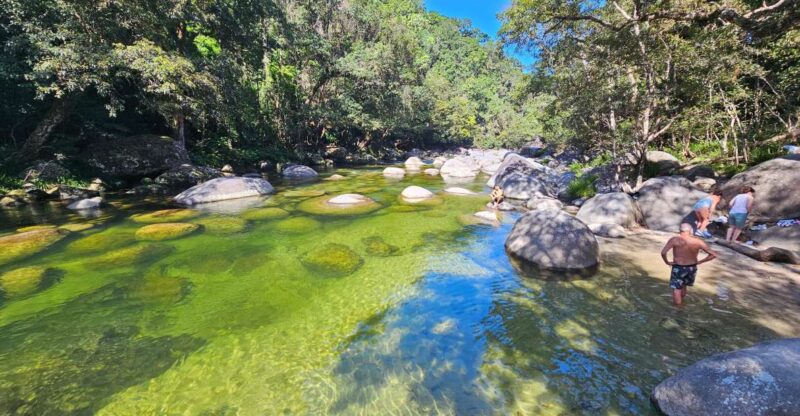 From Cairns: Mossman Gorge Tour & Daintree Rainforest Cruise - Key Points