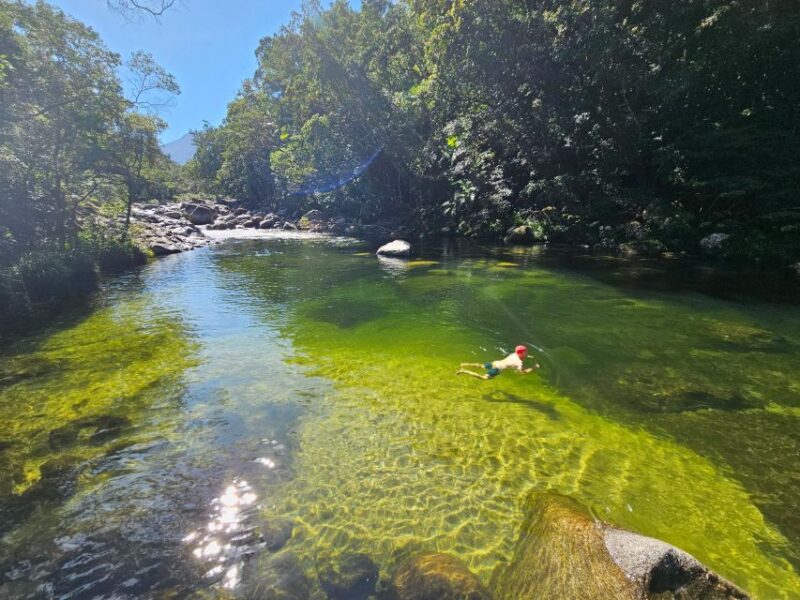 From Cairns: Mossman Gorge Tour & Daintree Rainforest Cruise - Pickup and Drop-off Locations