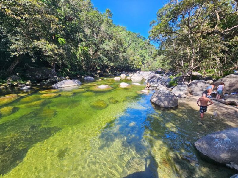 From Cairns: Mossman Gorge Tour & Daintree Rainforest Cruise - Detailed Itinerary