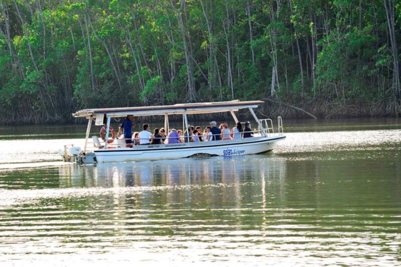 From Cairns: Mossman Gorge Tour & Daintree Rainforest Cruise - Highlights of the Tour