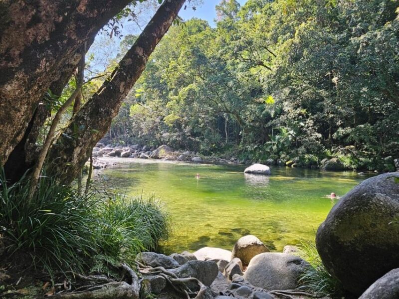 From Cairns: Mossman Gorge Tour & Daintree Rainforest Cruise - Inclusions and Exclusions