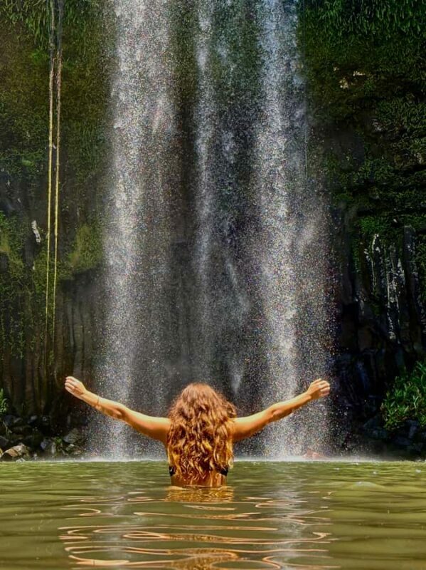 From Cairns: Waterfall Tour with Lunch - The Bottom Line: Our Take on the Waterfall Tour