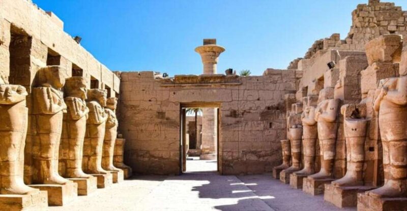 From Cairo: 15-DAY Tour With Nile Cruise & Holy Family Tour - Accommodation Details
