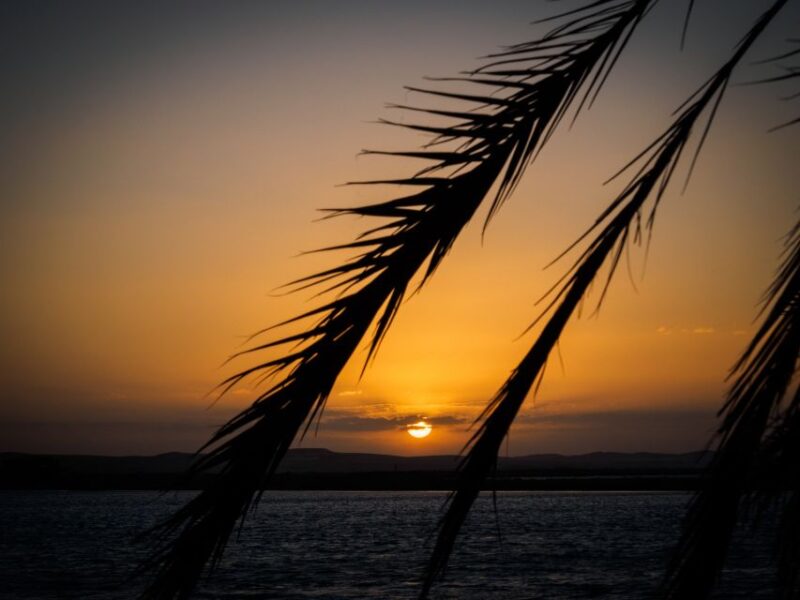 From Cairo: 3-Day Siwa Oasis and Western Desert Private Trip - Accommodation and Dining Options