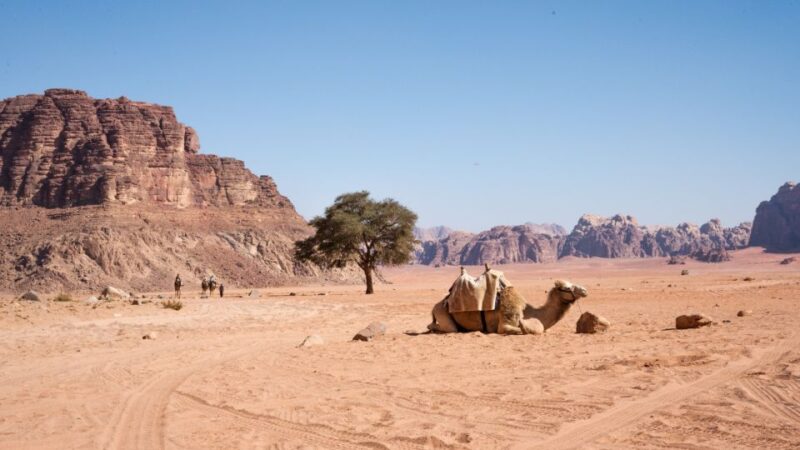 From Cairo: 7-Day (6-Nights) Package Egypt and Jordan Tour - Included Services