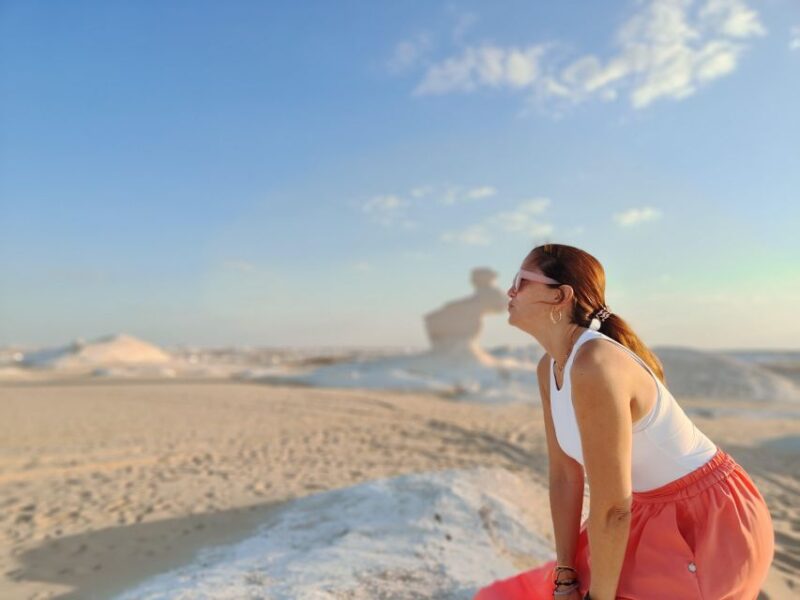 From Cairo: 7-Day Siwa, Bahariya & White Desert Private Tour - Accommodation Options