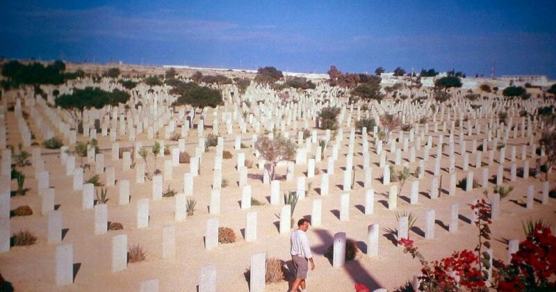 From Cairo: Alexandria and El-Alamein Tour With Overnight - Library of Alexandria