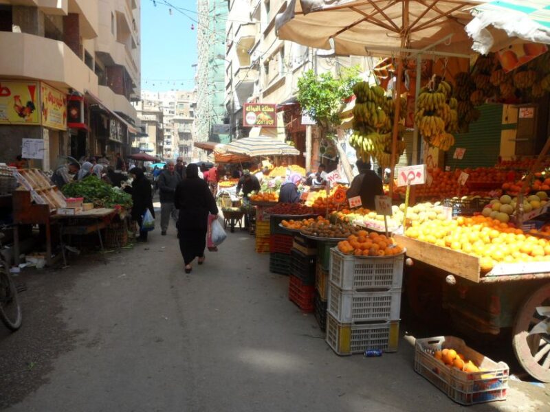 From Cairo: Alexandria Private Full-Day Discovery Tour - Key Points