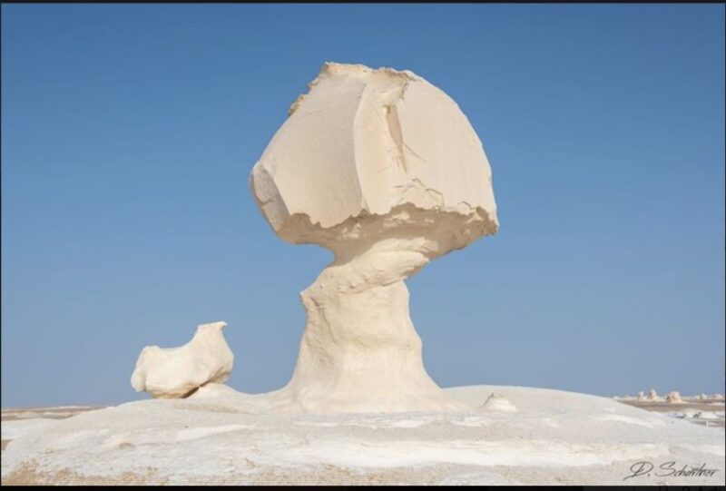 From Cairo: Bahariya Oasis and Black and White Desert Tour - Key Points