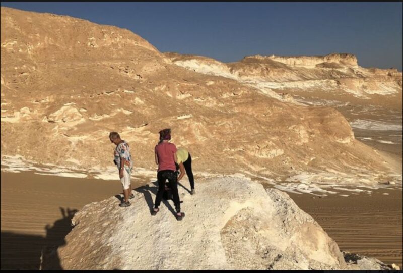 From Cairo: Bahariya Oasis and Black and White Desert Tour - Inclusions