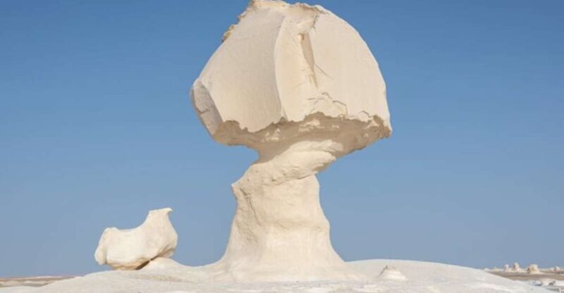 From Cairo: Bahariya Oasis and Black and White Desert Tour - Transportation and Comfort