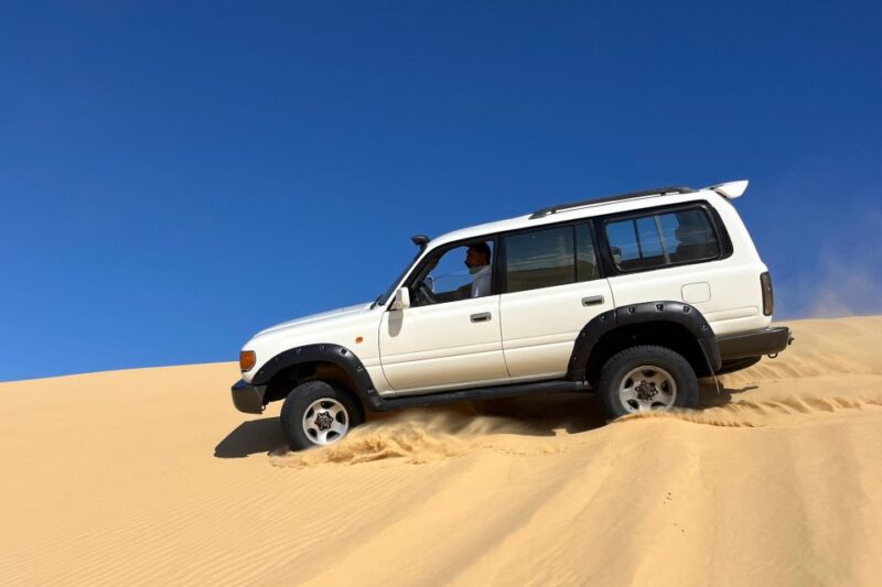 From Cairo: Desert Safari, Camel Ride, Magic Lake, & Lunch - Key Points