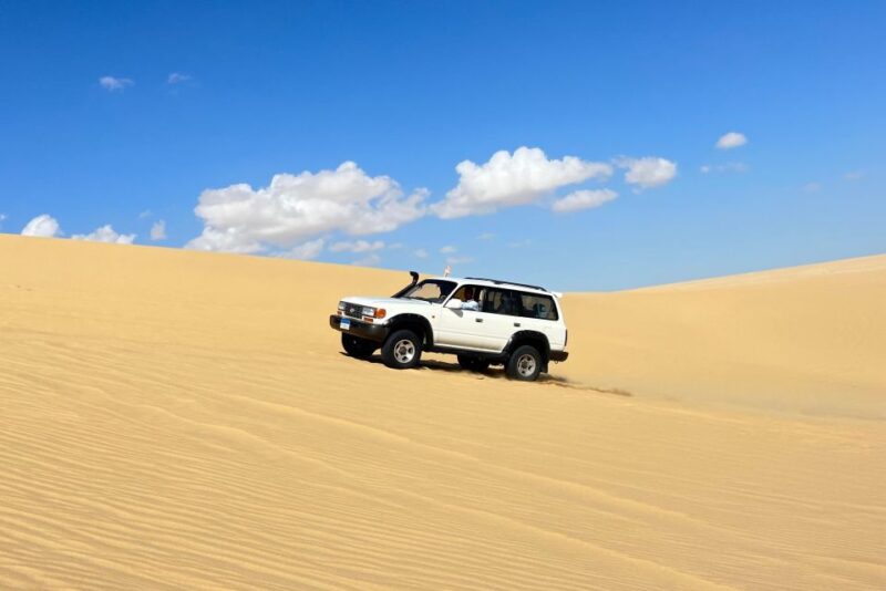 From Cairo: Desert Safari, Camel Ride, Magic Lake, & Lunch - Dune Driving and Sandboarding