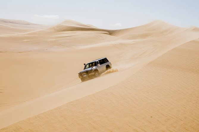 From Cairo: Desert Safari, Sandsurf, Camel, Magic Lake & Lunch - Key Points
