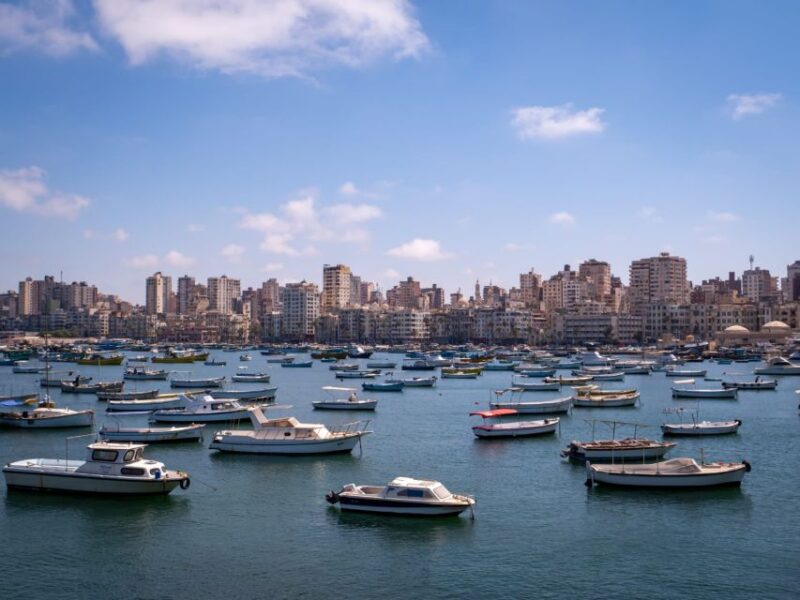 From Cairo: El Alamein and Alexandria Guided Day Tour - Customer Feedback