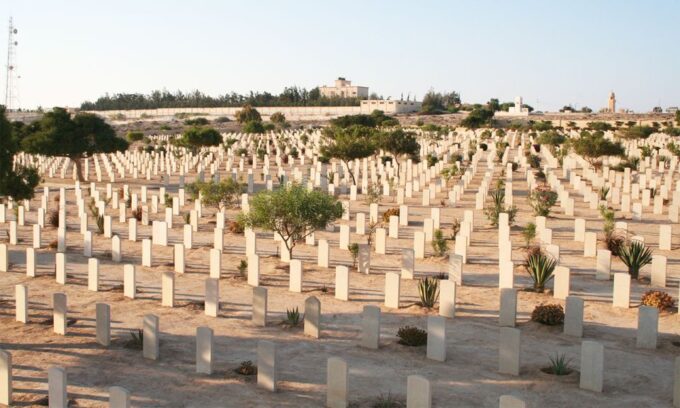 From Cairo: El Alamein and Alexandria Guided Day Tour - Enjoy Hassle-Free Transportation and Guidance