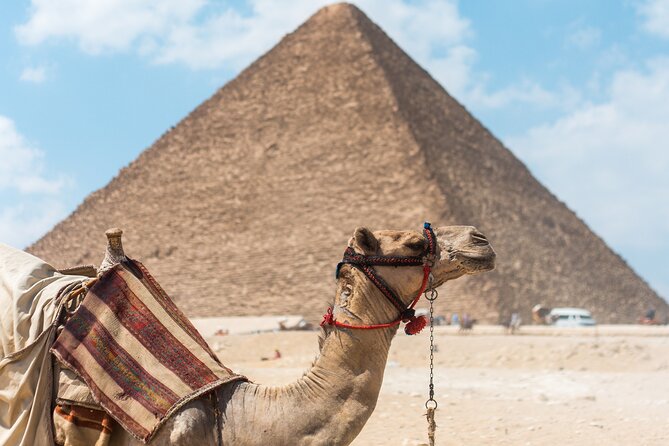 From Cairo: Half-Day Tour to Pyramids of Giza and the Sphinx - Tour Overview
